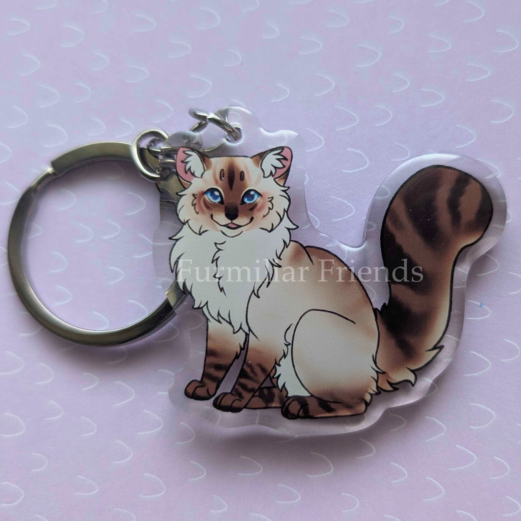 Ragdoll zittend - Chocolate Tabby serie