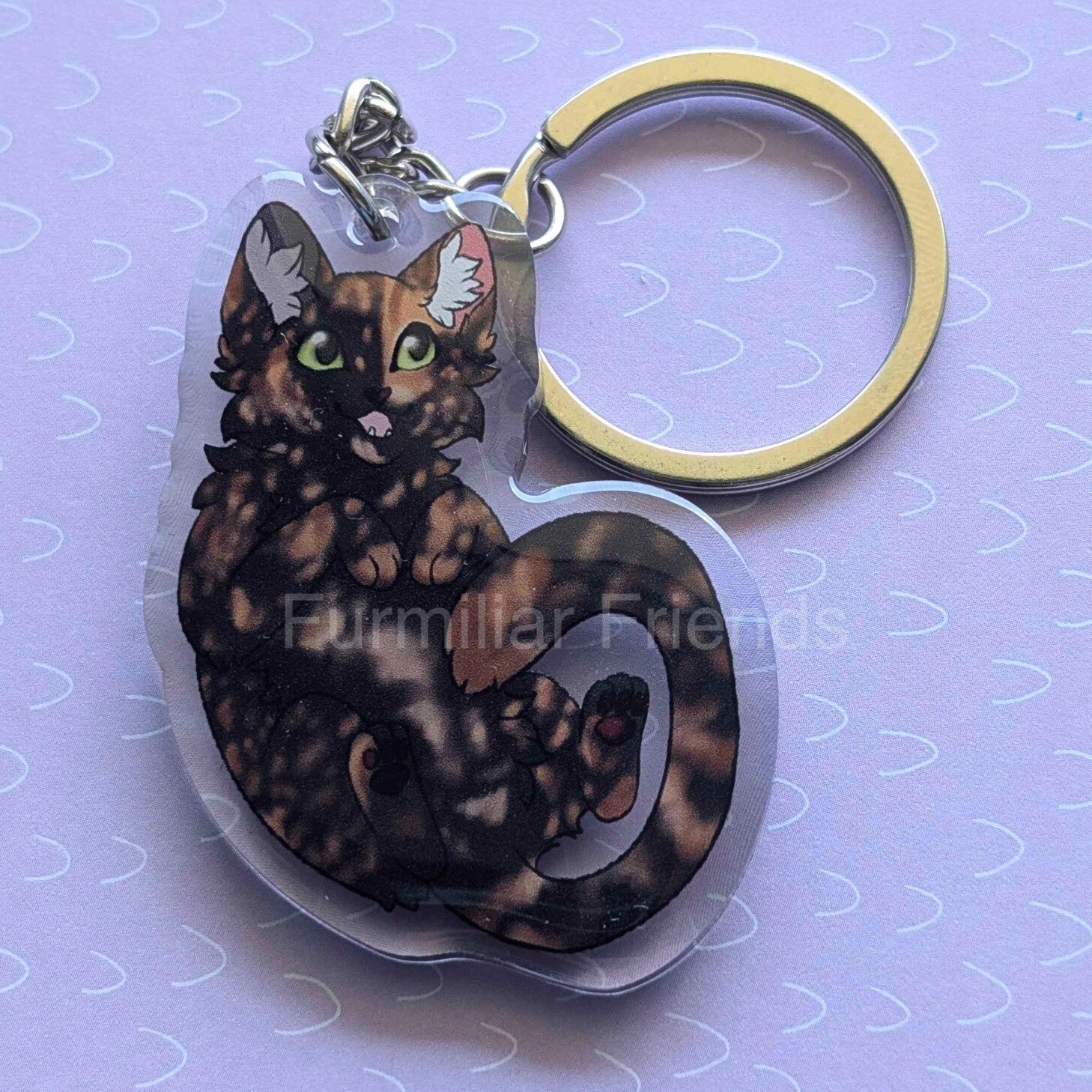 Europese Korthaar - Tortie en Tortie Tabby