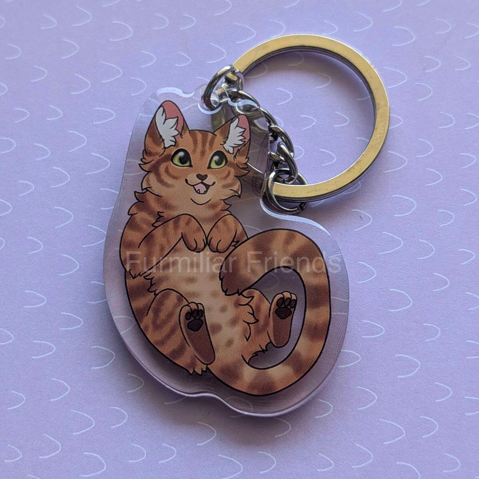 Europese Korthaar - Rood en Tabby