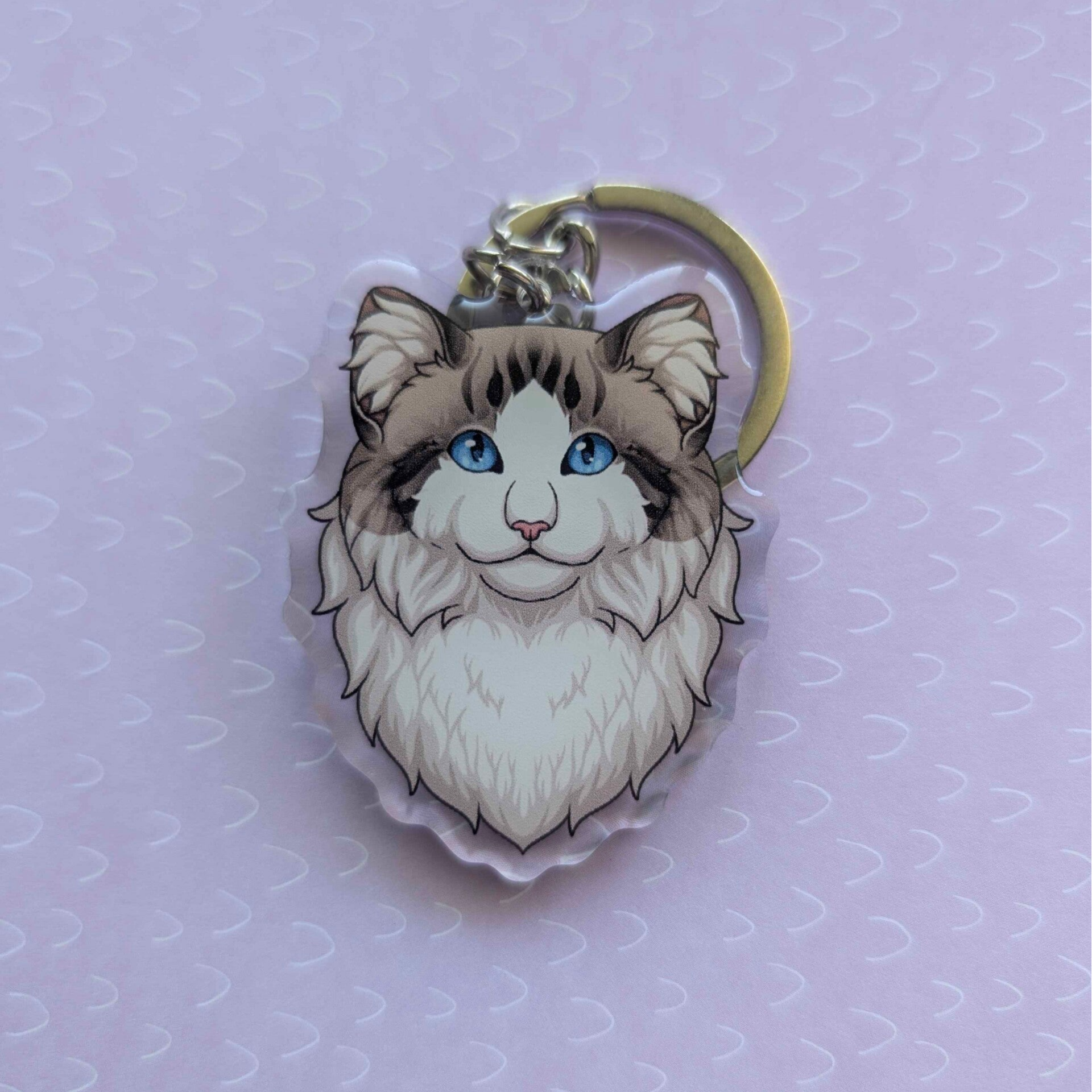 Ragdoll Portret