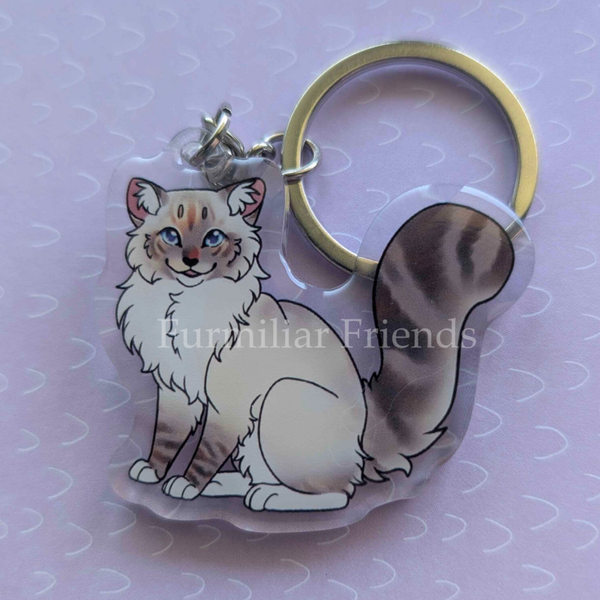Ragdoll zittend - Torbie serie