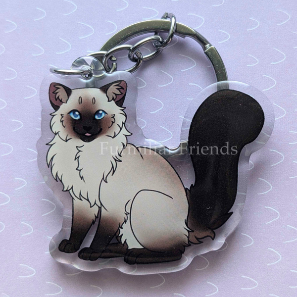 Ragdoll zittend - Chocolate serie
