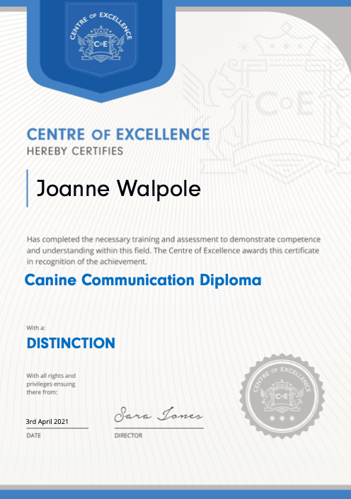 Canine Communication Diploma/Jo's Pet Services