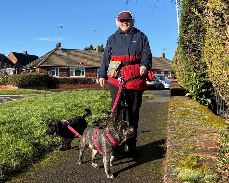 Multi-dog walk/Jo's Pet Services