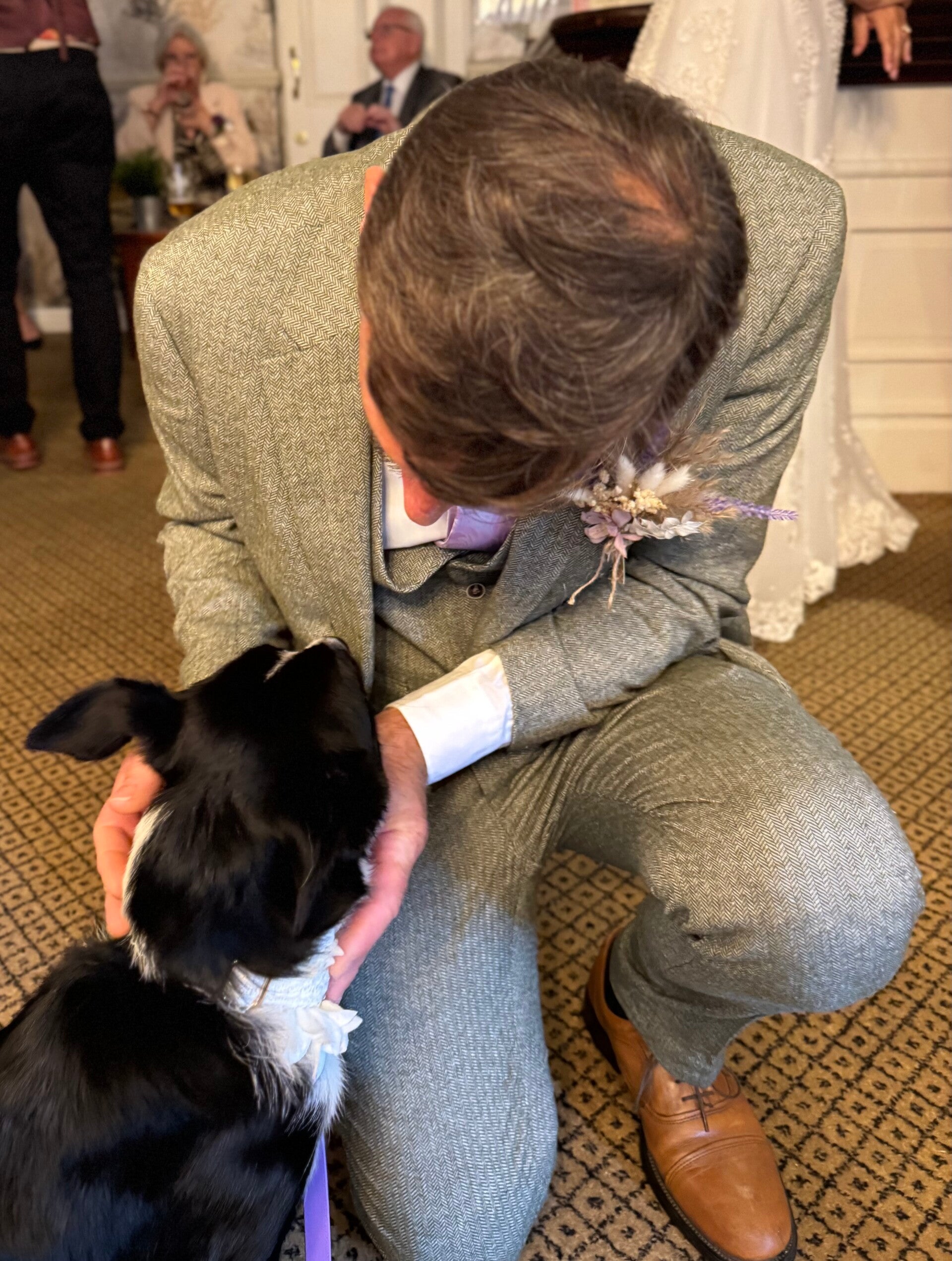 Groom and wedding dog/Jo's Pet Services