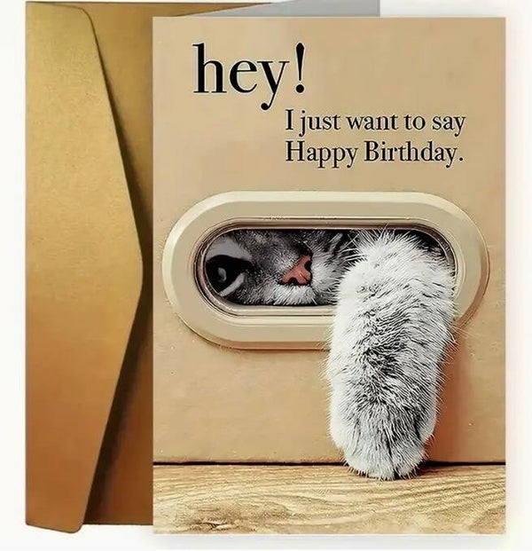 Verjaardagskaart "Hey! Happy Birthday – Nieuwsgierige Kat"