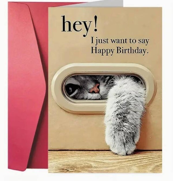 Verjaardagskaart "Hey! Happy Birthday – Glurende Kat"