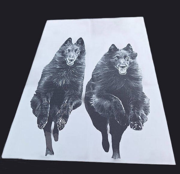 Fotospiegel rechthoek positief 20x30