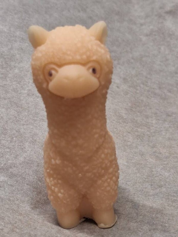 Alpaca