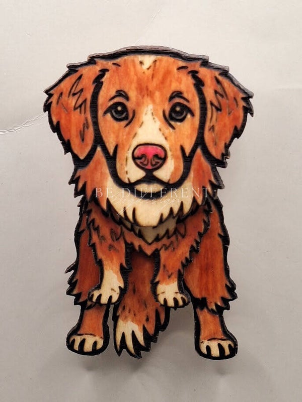 Swiebel Toller Nova Scotia Duck Tolling Retriever