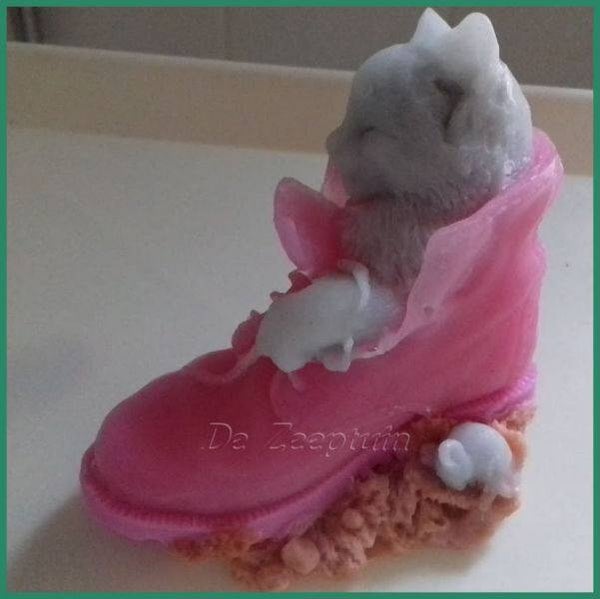 Kitten en schoen