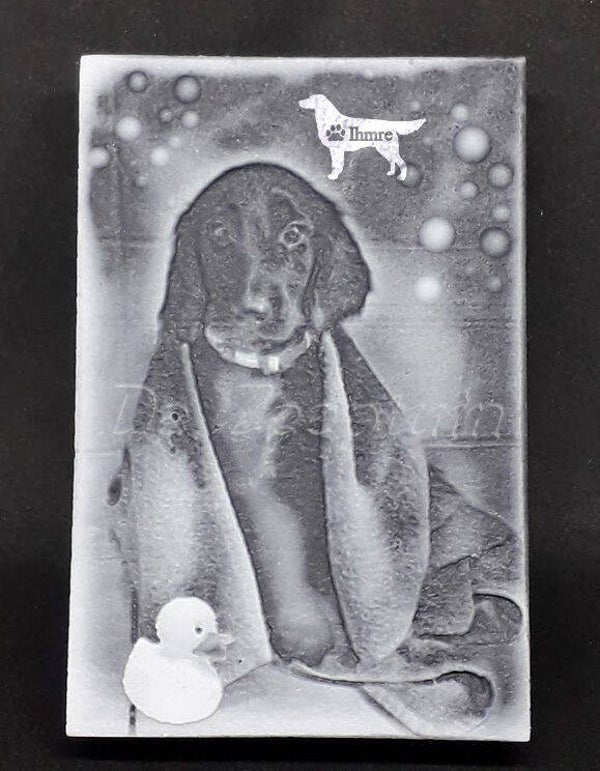 Puppie Ihmre (Flatcoated retriever) zeep