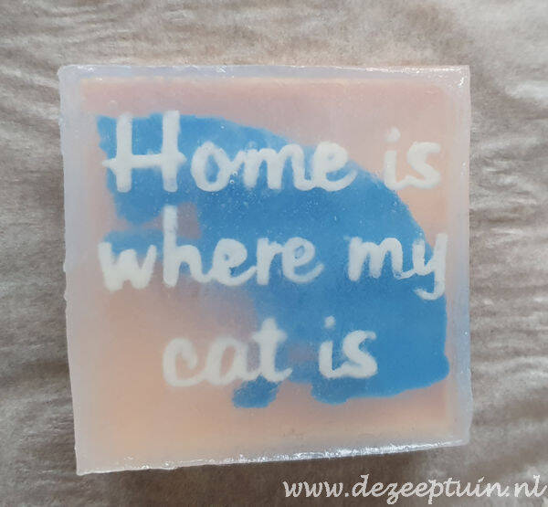 Home is where my cat is