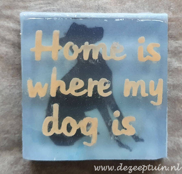 Home is where my dog is