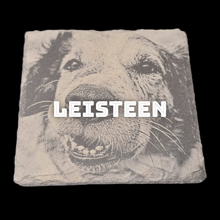 Leisteen
