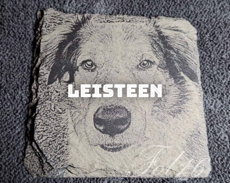 Leisteen