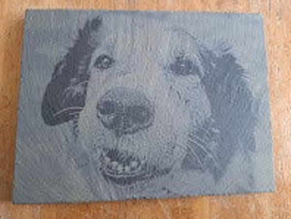 Leisteen gegraveerd 15x20