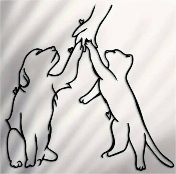 Complete cursus communiceren met dieren