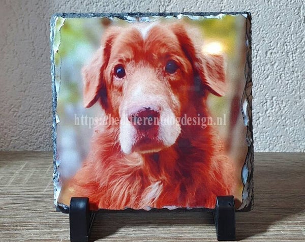 Foto op leisteen bedrukt 14x14