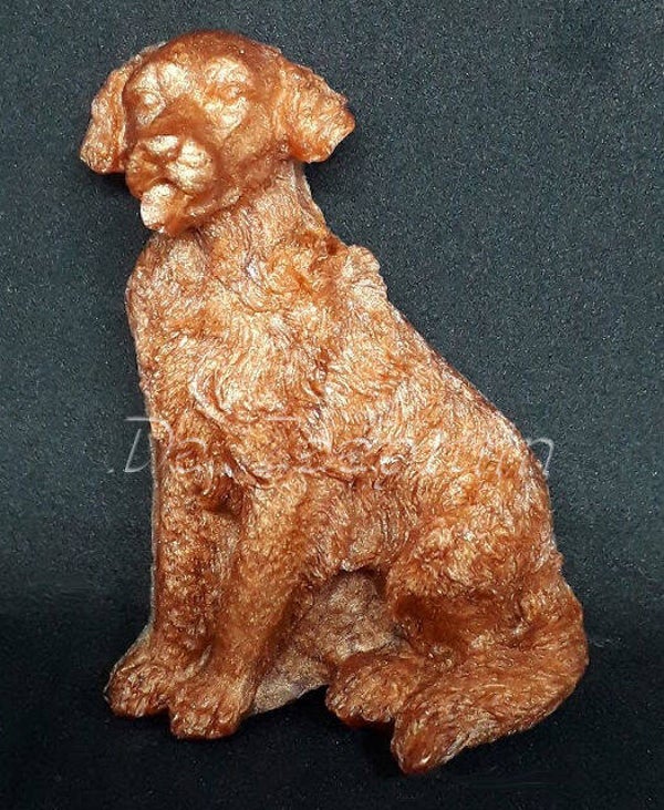 Retriever