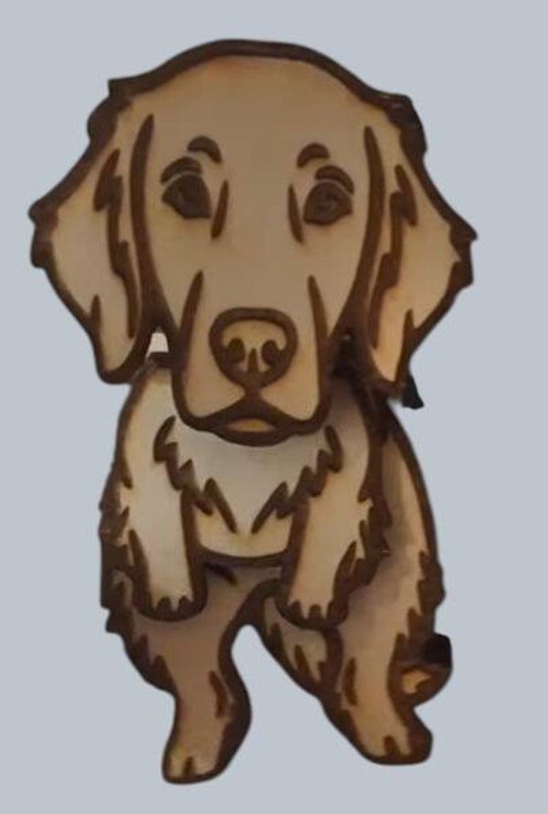 Swiebels magneet Flatcoat