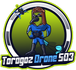 Torogoz drone 503