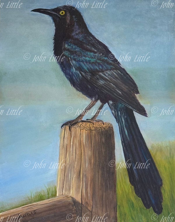'Misunderstood' - Print
