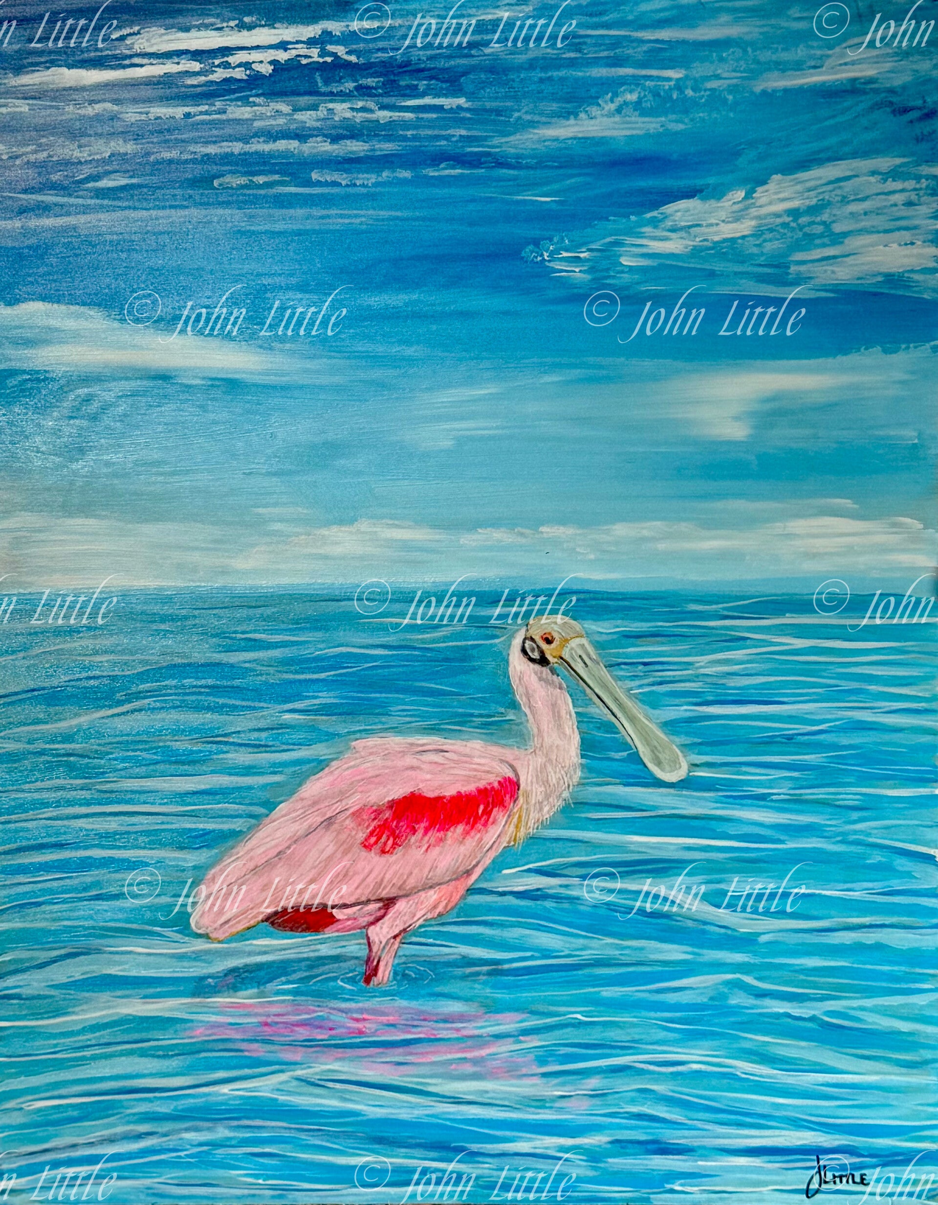 'St. Mary's Spoonbill' - Print