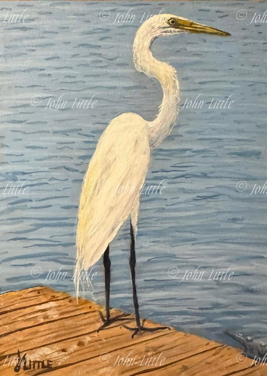 'Laguna Watchstander' - Print