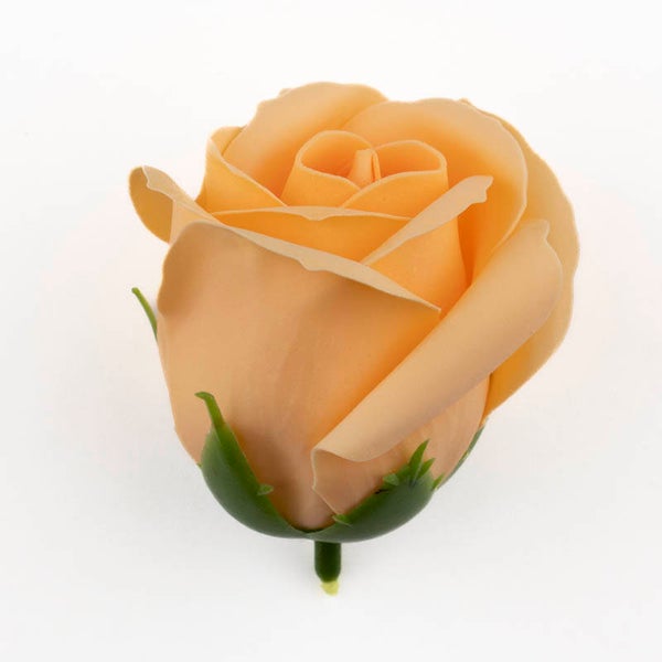 Zeepbloem Roos oranje