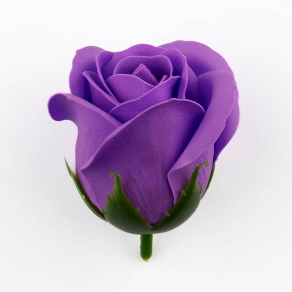 Zeepbloem Roos paars