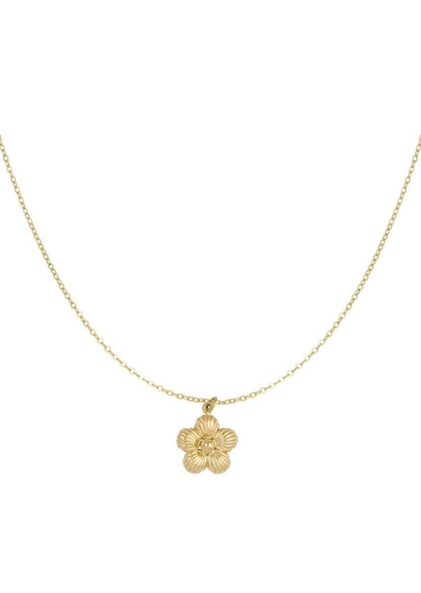 daisy ketting