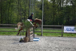 dsc_0417jpg.jpg