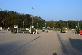 dsc_0215jpg.jpg