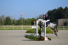 dsc_02381jpg.jpg