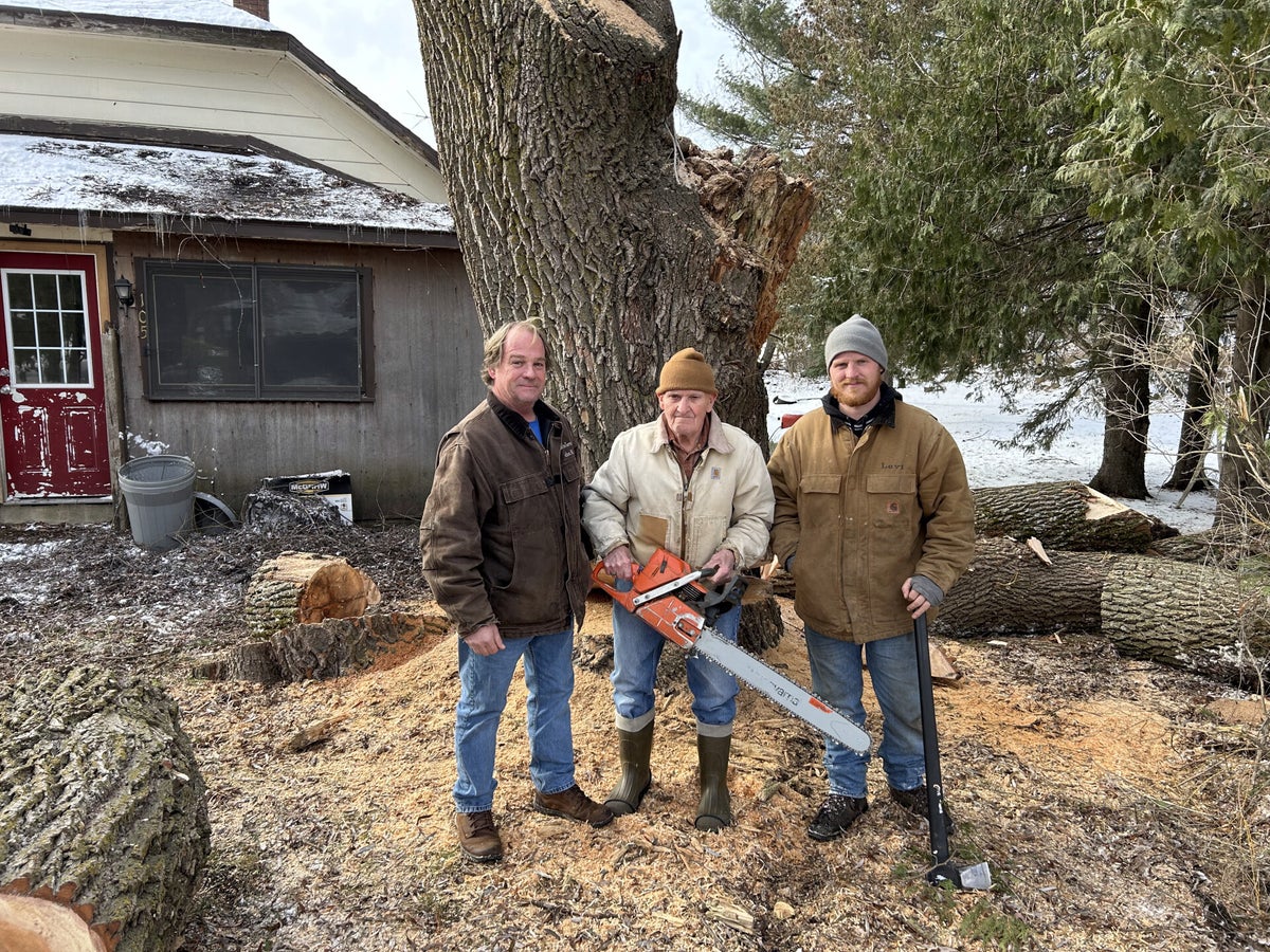Jay Tree James' Tree Service