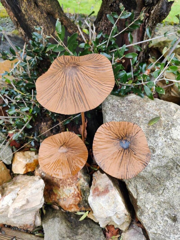Lot de 3 champignons
