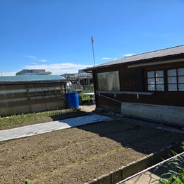 20250511_152708-standard-dnzfqv.jpg