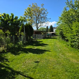 20250511_153803-standard-1dh1ri.jpg