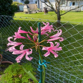 img-20250422-wa0024-standard-40tgdn.jpg