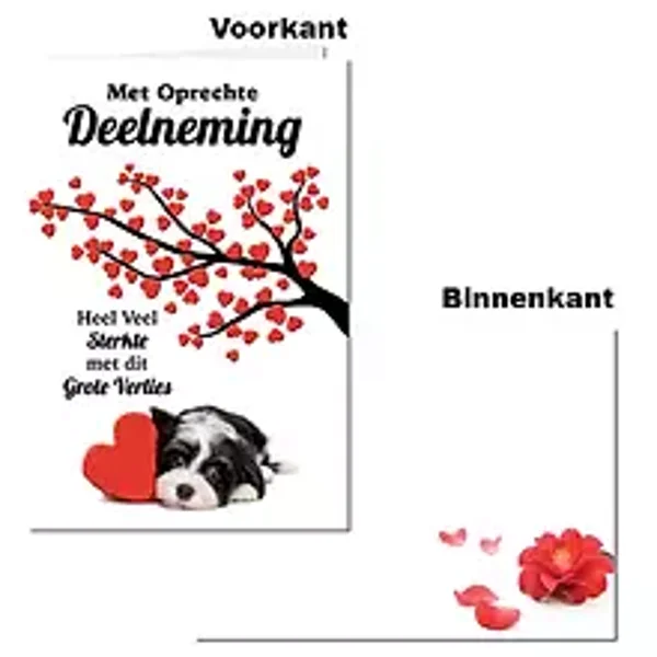 kaart deelneming