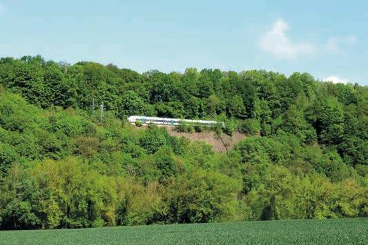 12-Trockenstützmauer