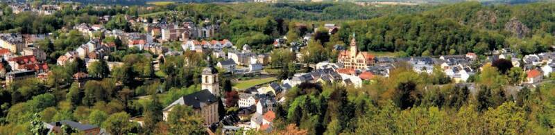 20-Waldheimblick vom Wachbergturm