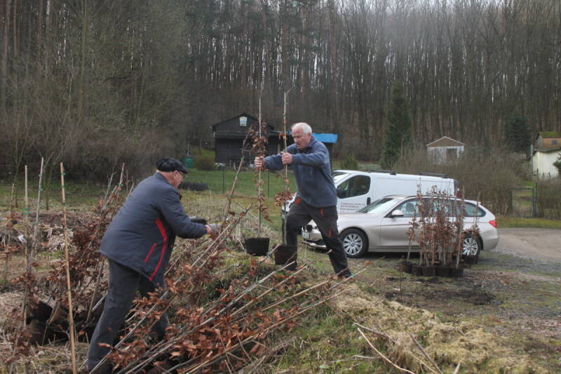 Baumpflanzaktion auf dem Brachland am Tännicht (2017) 