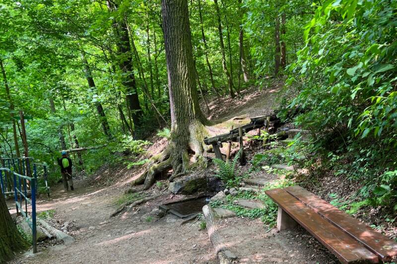 Wolfskehle mit Quelle