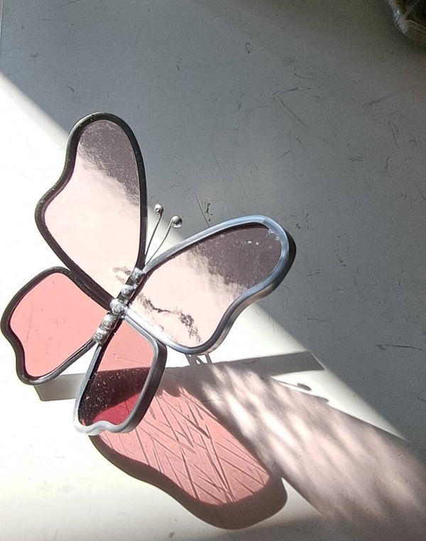 Vlinder van glas, Roze