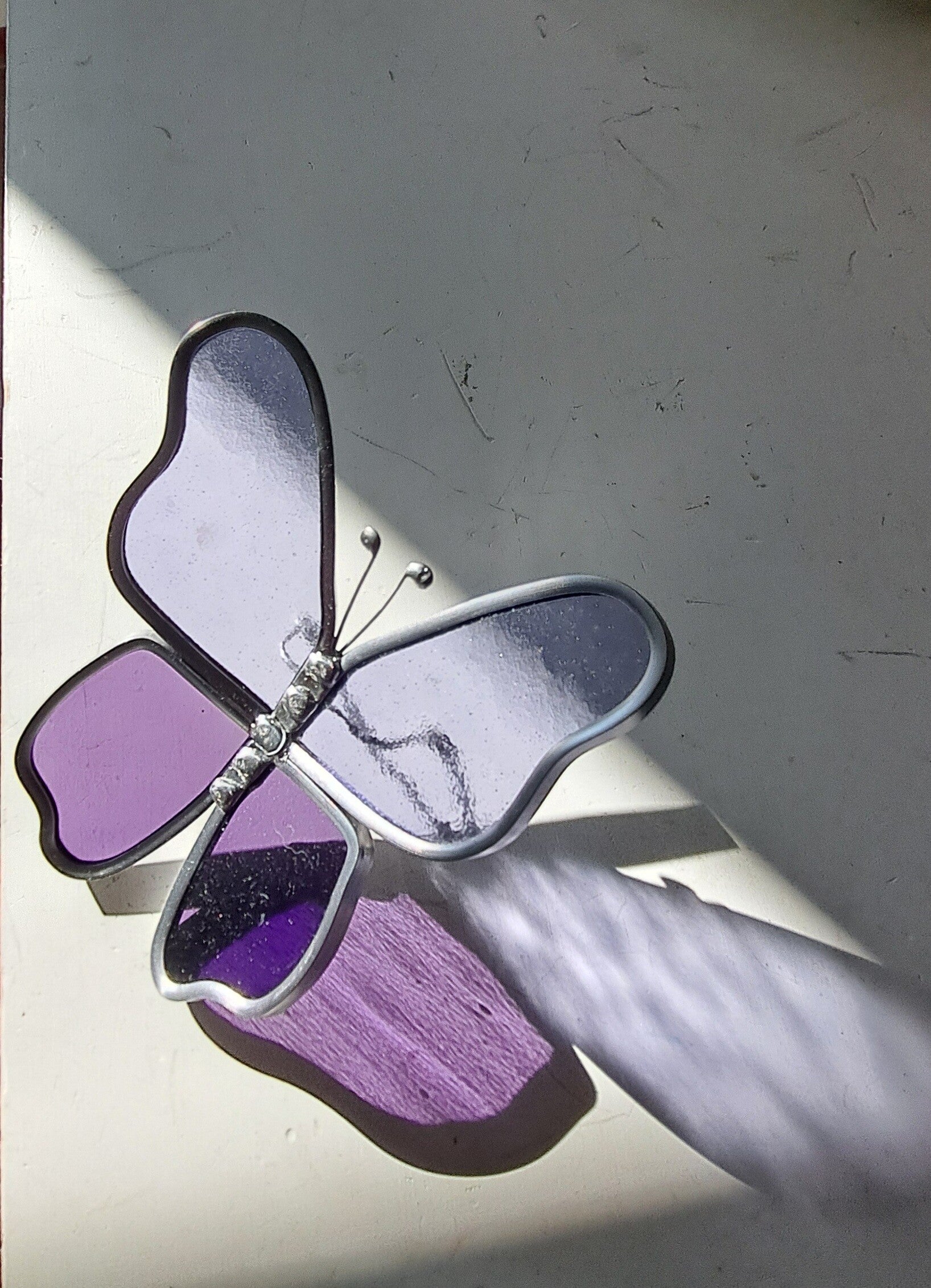 Vlinder van glas, Paars