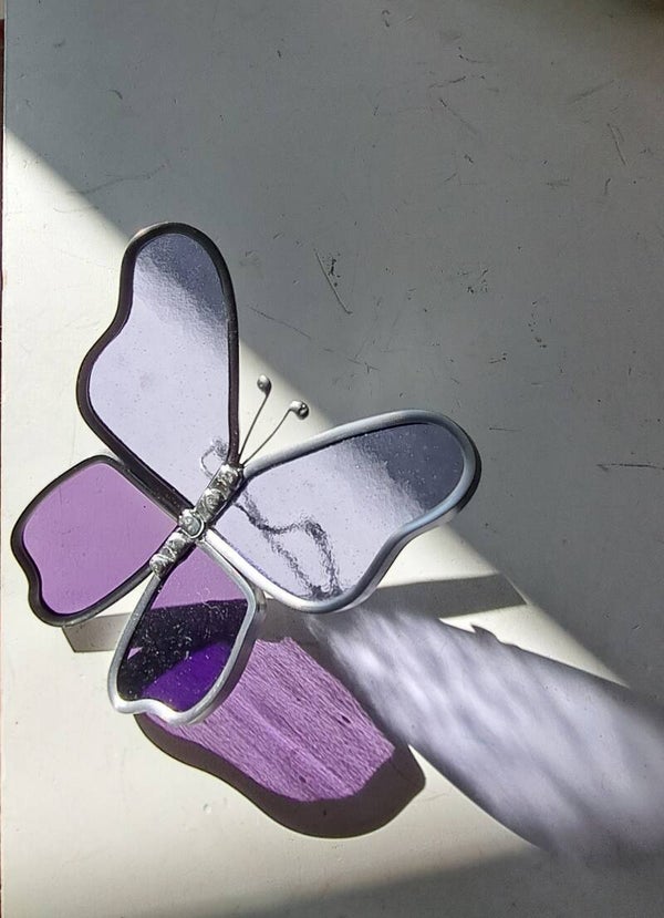 Vlinder van glas, Paars