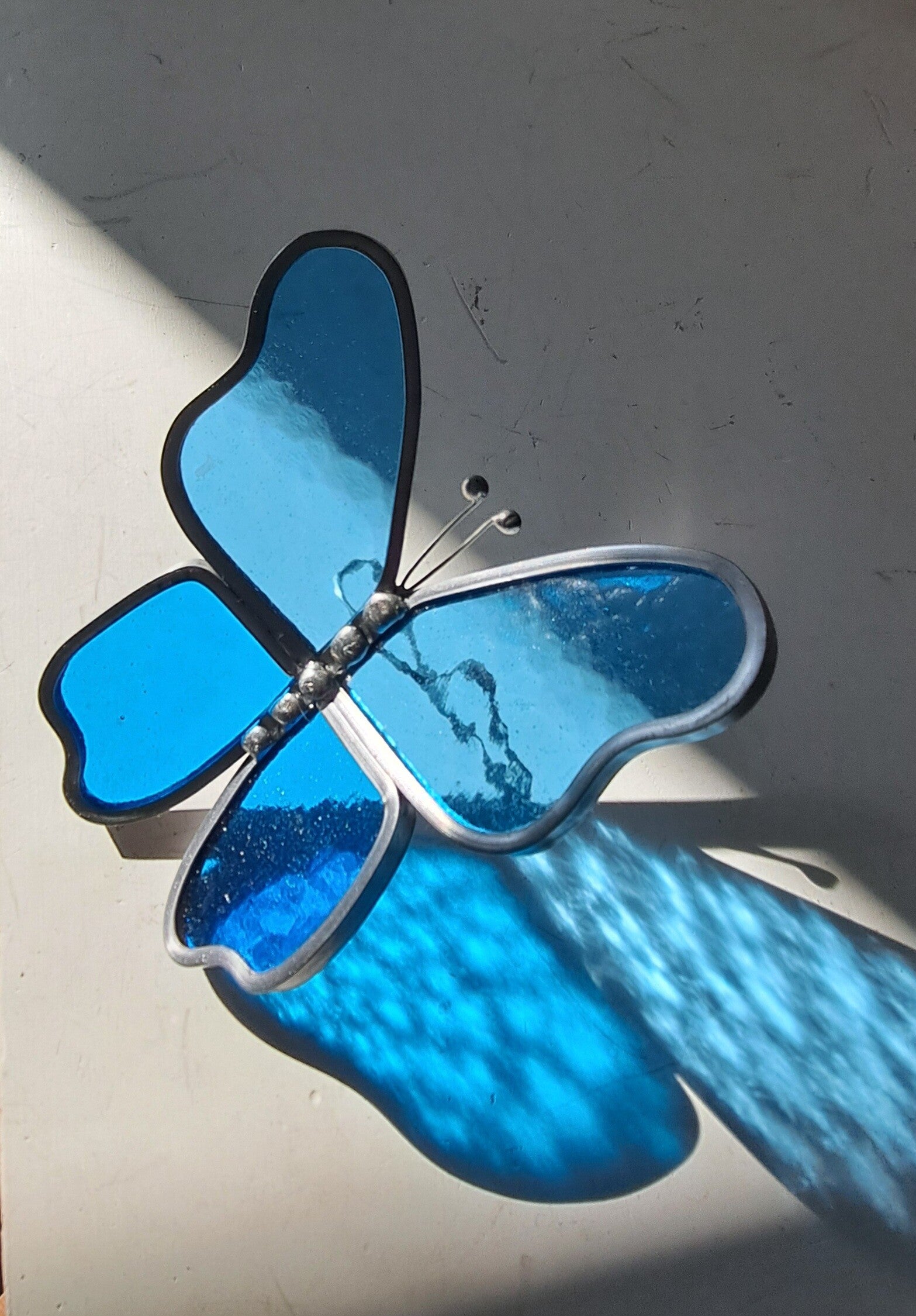 Vlinder van glas, Blauw