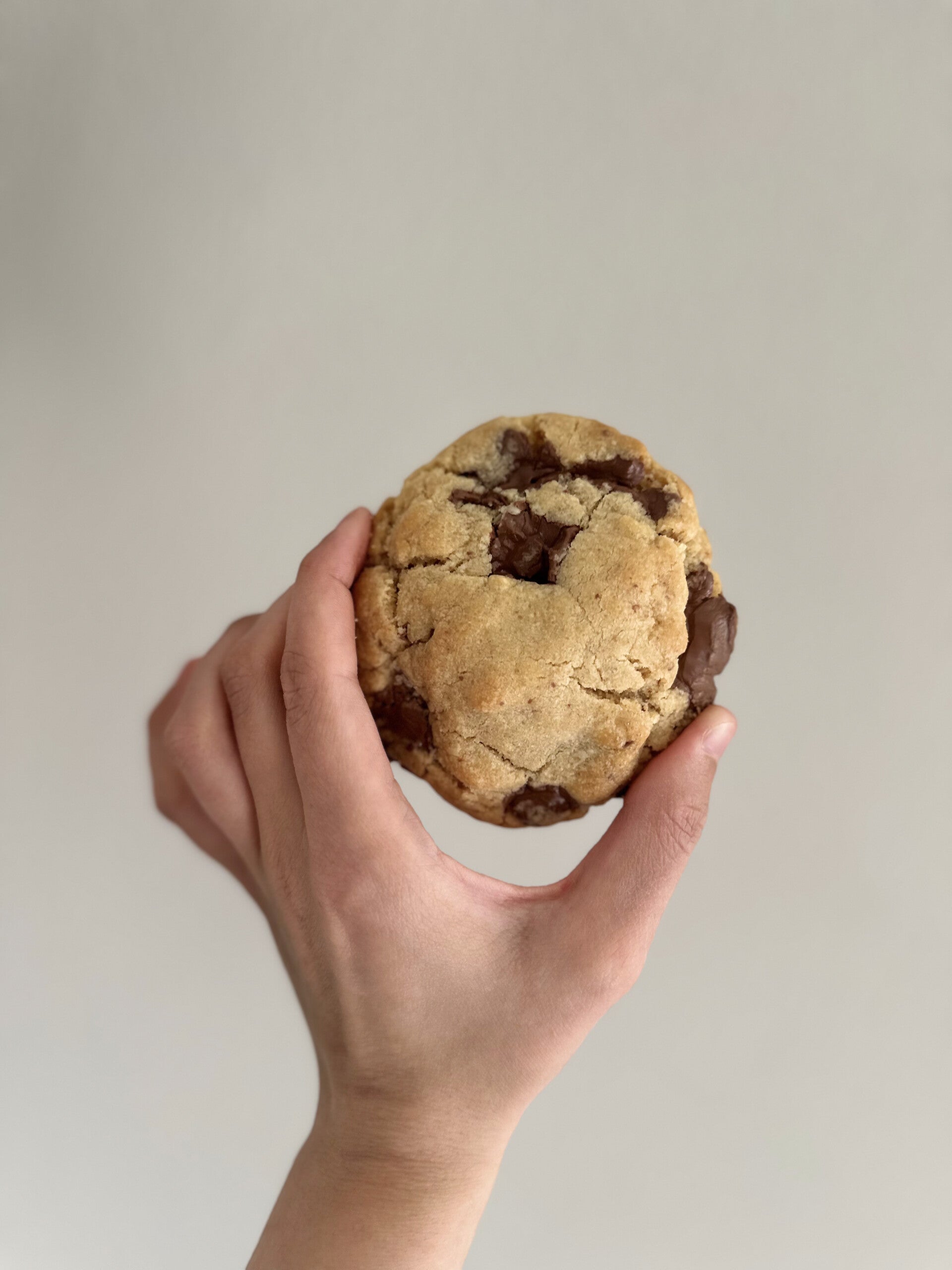 Chocolate chip cookie